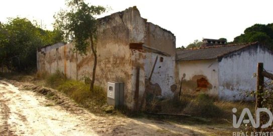 Terreno para Venda em Galveias