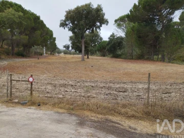 Terreno para Venda em Galveias