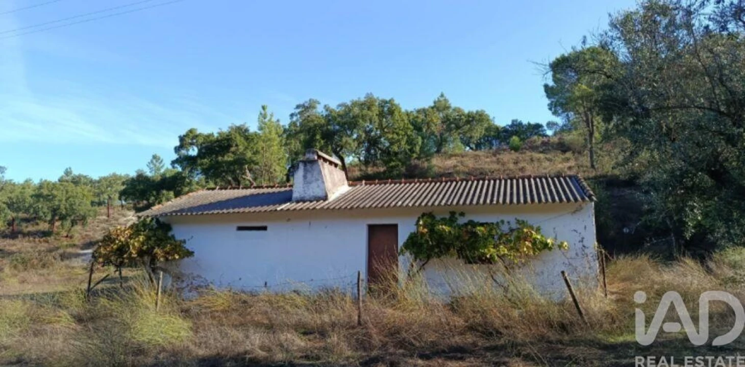 Terreno para Venda em Galveias Foto 3