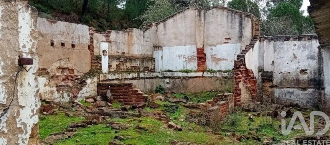 Terreno para Venda em Galveias Foto 6