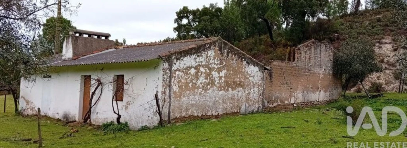 Terreno para Venda em Galveias Foto 5