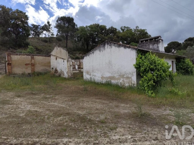 Terreno para Venda em Galveias Foto 9