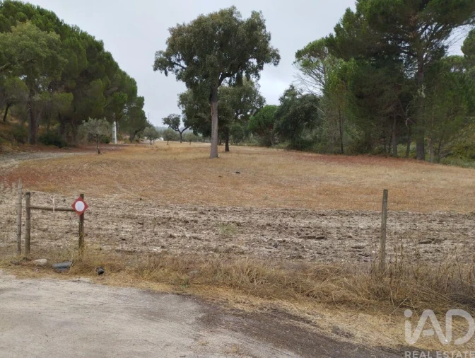 Terreno para Venda em Galveias Foto 5
