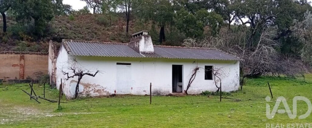 Terreno para Venda em Galveias Foto 4