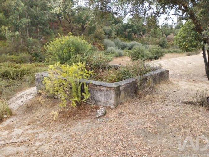 Terreno para Venda em Galveias Foto 6