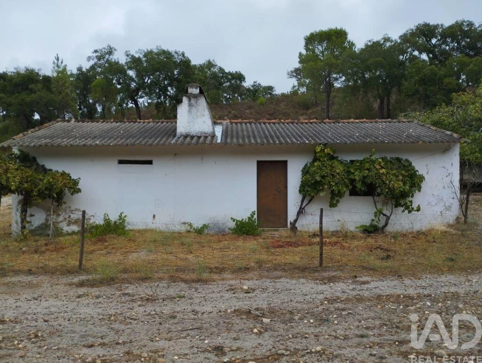 Terreno para Venda em Galveias Foto 10