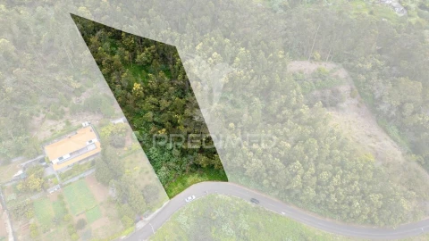 Terreno para Venda em Santo Antonio da Serra