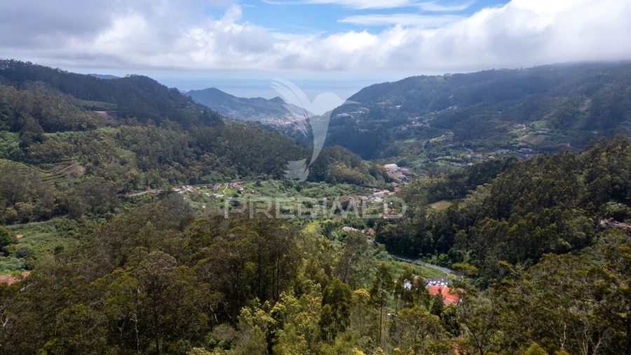 Terreno para Venda em Santo Antonio da Serra Foto 12