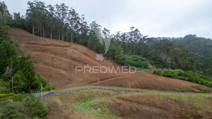 Terreno para Venda em Santo Antonio da Serra Foto 16