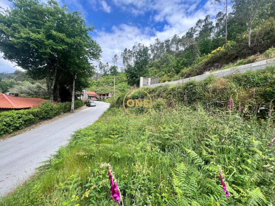 Terreno para Venda em Valdosende Foto 7
