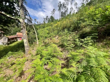 Terreno para Venda em Valdosende