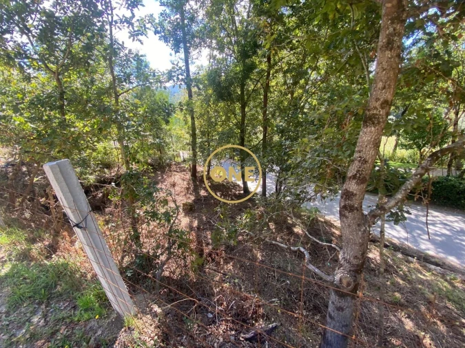 Terreno para Venda em Valdosende Foto 3