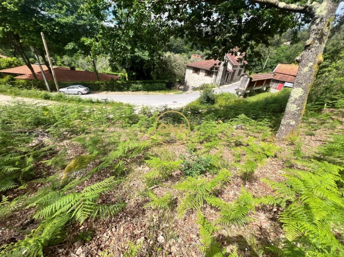 Terreno para Venda em Valdosende Foto 8