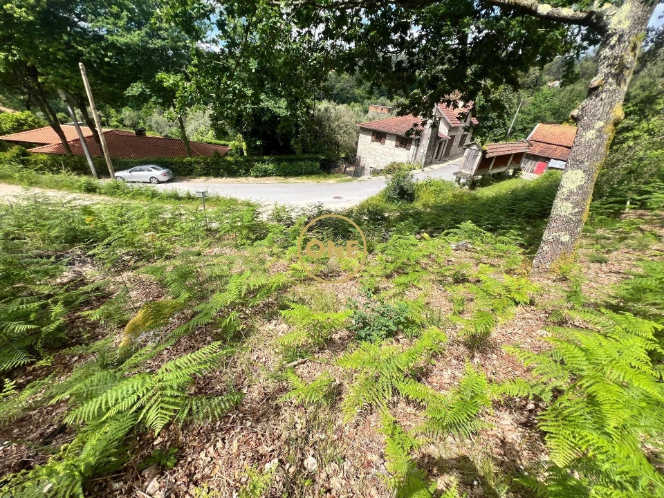 Terreno para Venda em Valdosende Foto 8