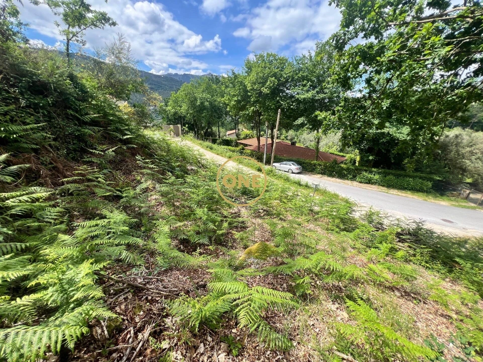 Terreno para Venda em Valdosende Foto 10