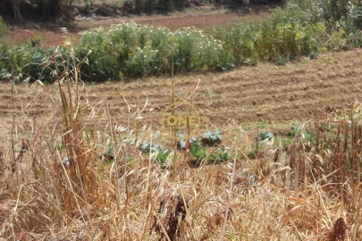 Terreno para Venda em Mafra
