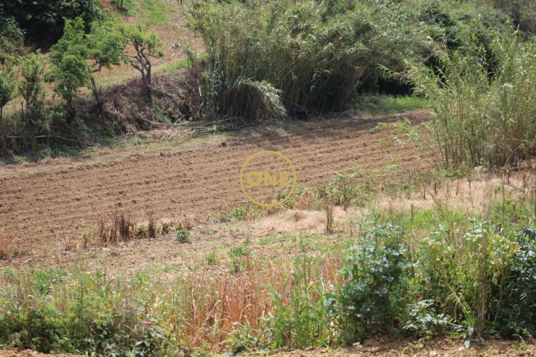 Terreno para Venda em Mafra Foto 32