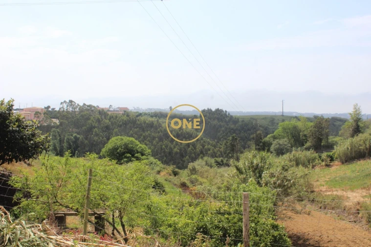 Terreno para Venda em Mafra Foto 34