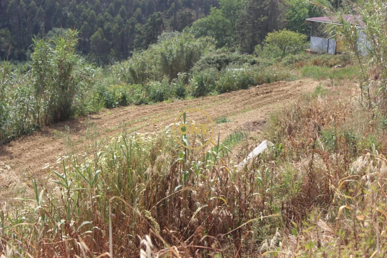Terreno para Venda em Mafra Foto 13