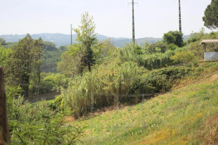 Terreno para Venda em Mafra Foto 33