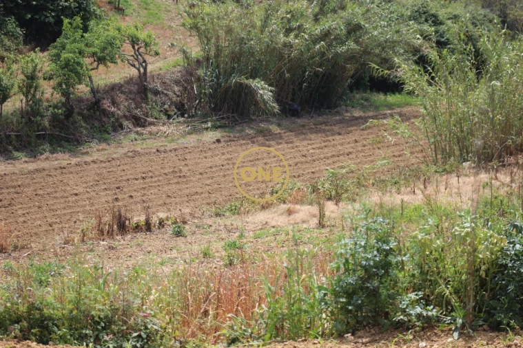 Terreno para Venda em Mafra Foto 32