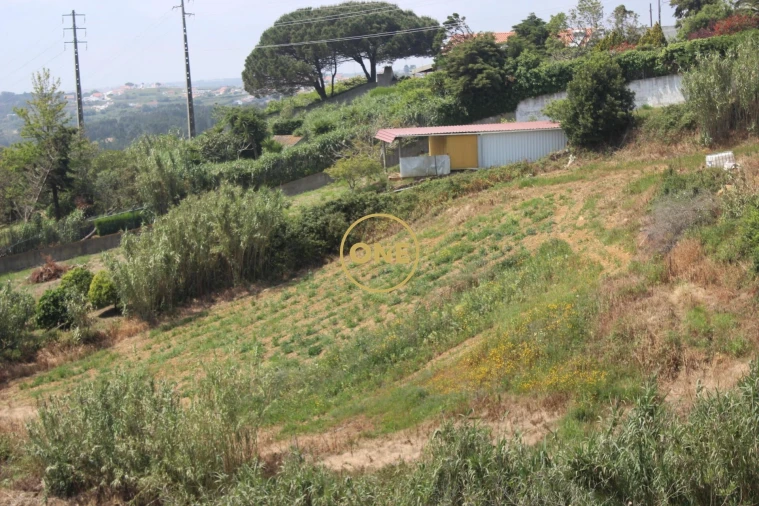 Terreno para Venda em Mafra Foto 8