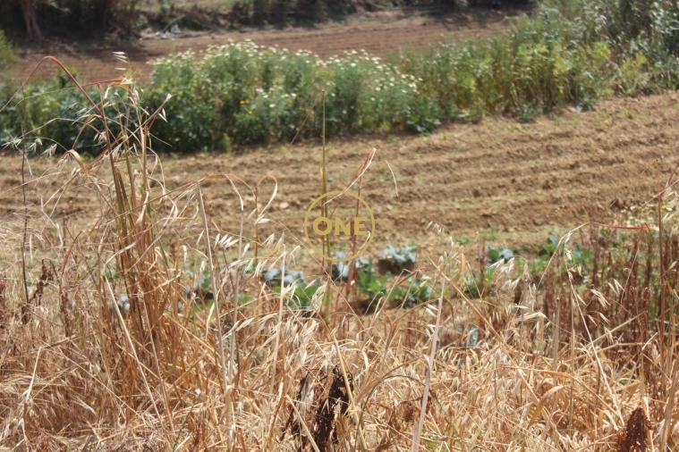 Terreno para Venda em Mafra Foto 14
