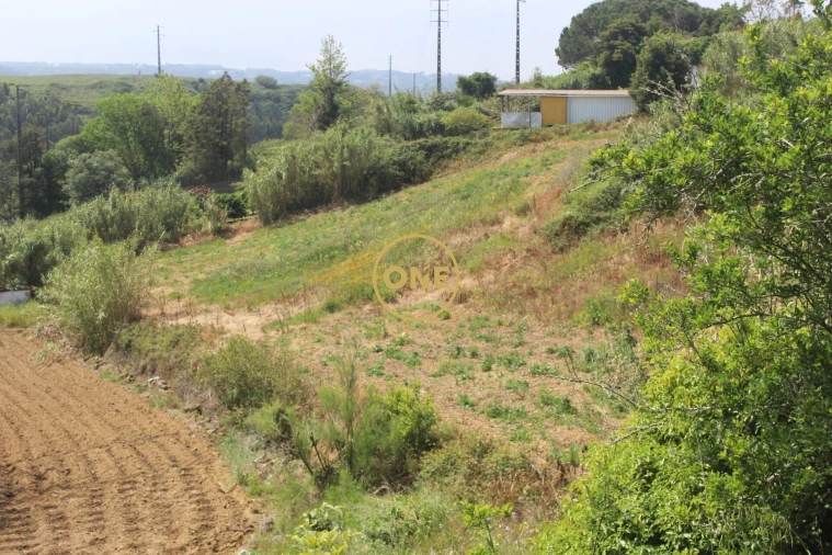 Terreno para Venda em Mafra Foto 11