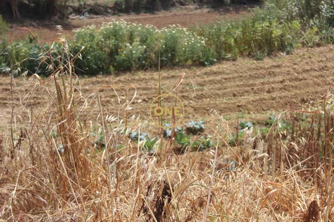 Terreno para Venda em Mafra Foto 14