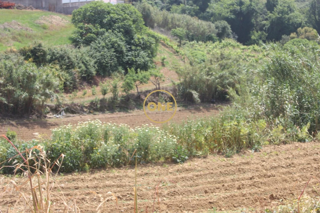 Terreno para Venda em Mafra Foto 16