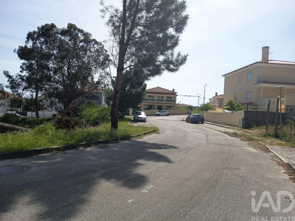 Terreno para Venda em Rio Maior Foto 8