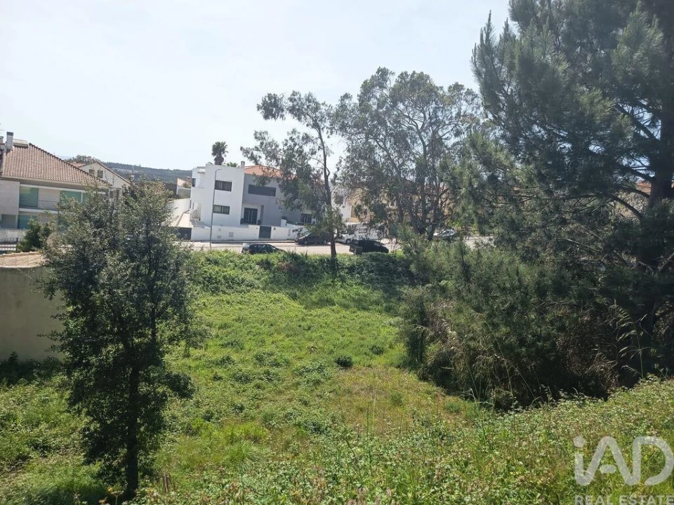 Terreno para Venda em Rio Maior Foto 12