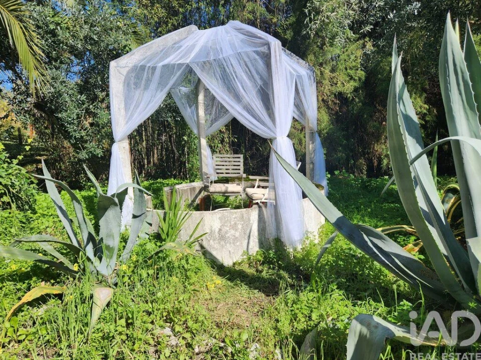 Terreno para Venda em São Pedro de Tomar Foto 26