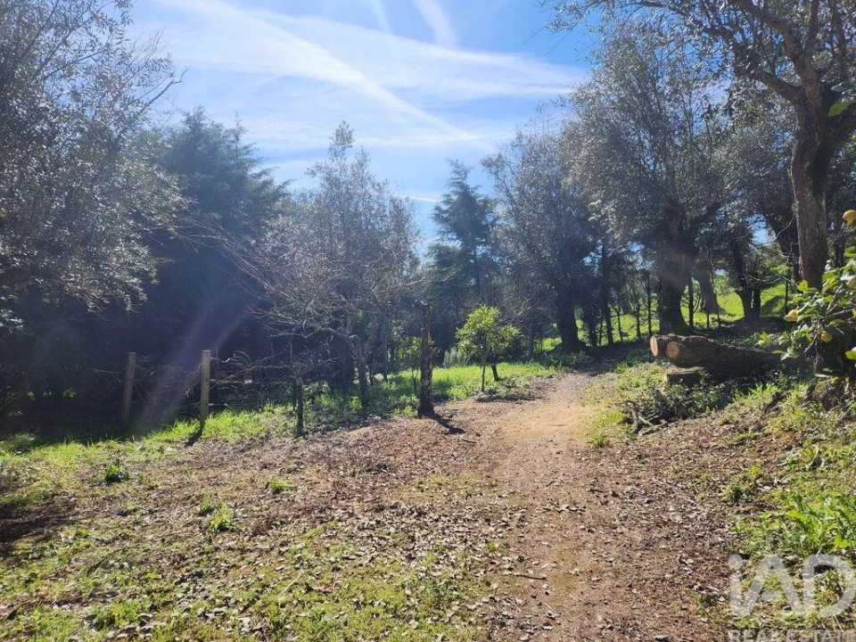 Terreno para Venda em São Pedro de Tomar Foto 31