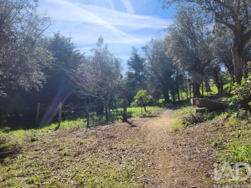 Terreno para Venda em São Pedro de Tomar
