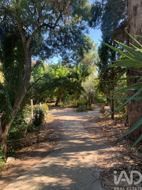 Terreno para Venda em São Pedro de Tomar