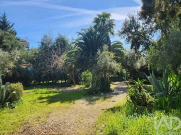 Terreno para Venda em São Pedro de Tomar