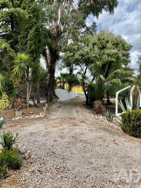 Terreno para Venda em São Pedro de Tomar