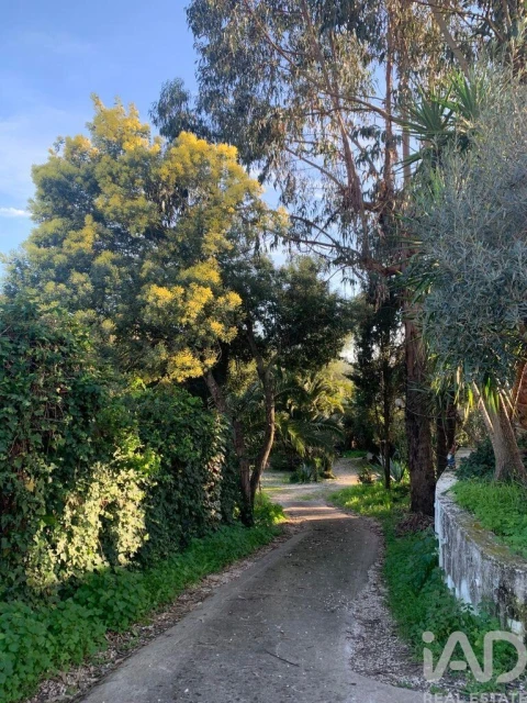 Terreno para Venda em São Pedro de Tomar