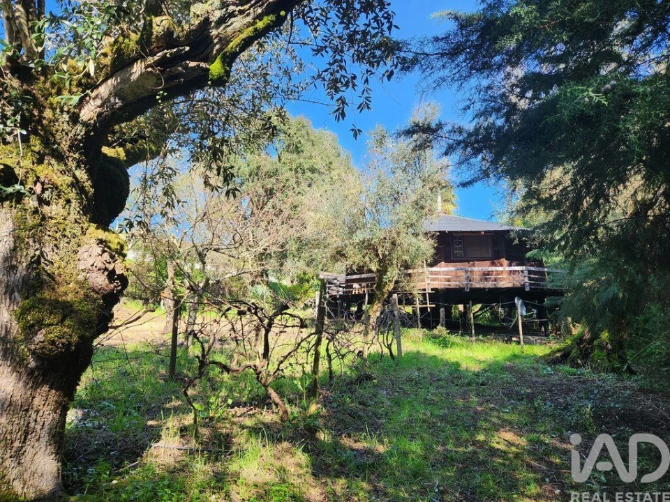 Terreno para Venda em São Pedro de Tomar Foto 38