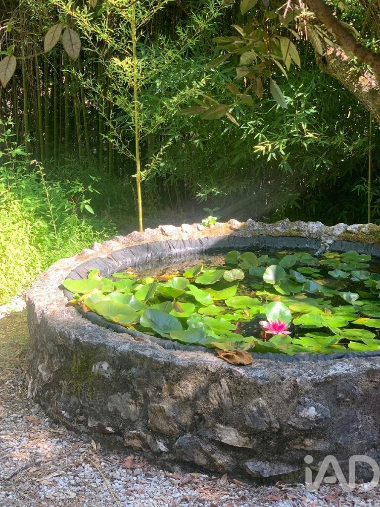 Terreno para Venda em São Pedro de Tomar Foto 25
