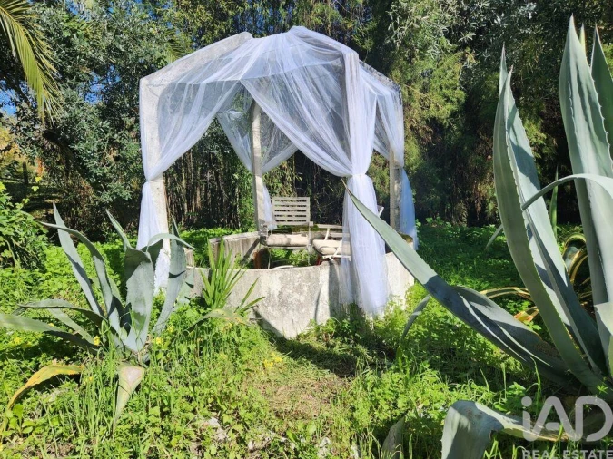 Terreno para Venda em São Pedro de Tomar Foto 26