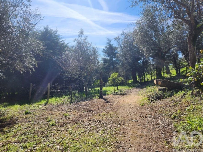 Terreno para Venda em São Pedro de Tomar Foto 31
