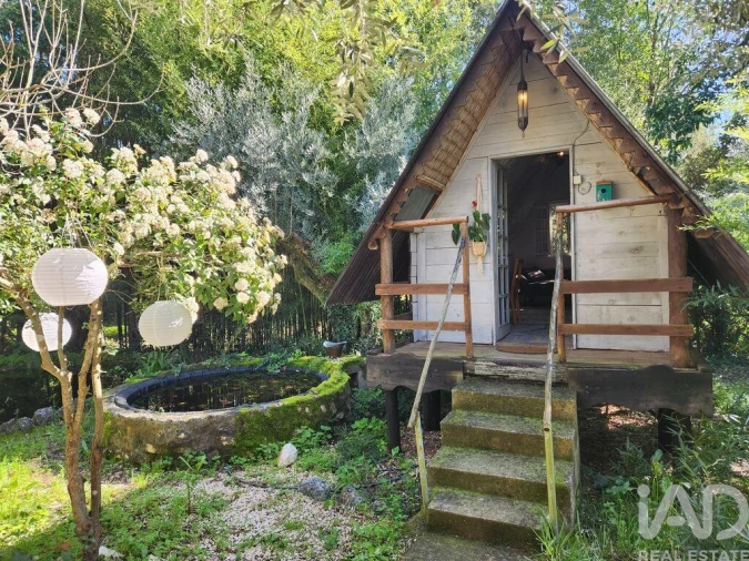 Terreno para Venda em São Pedro de Tomar Foto 7