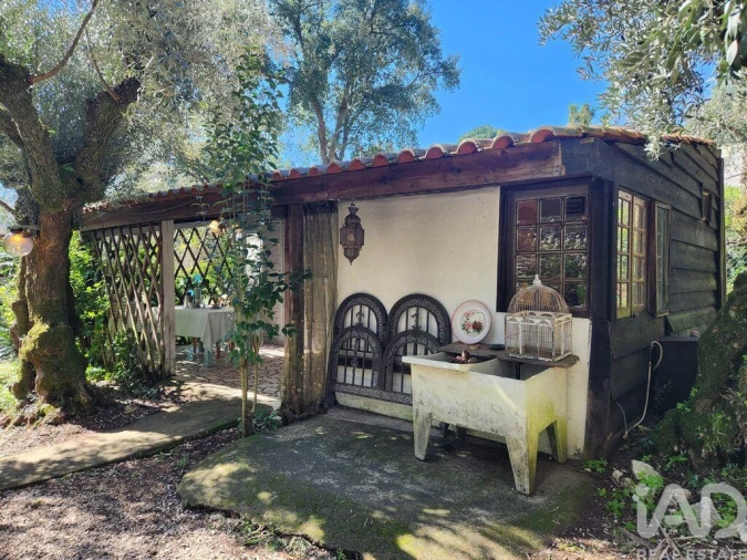 Terreno para Venda em São Pedro de Tomar Foto 12