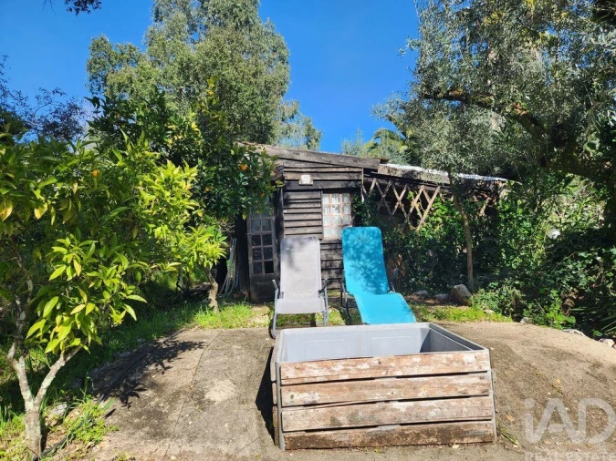 Terreno para Venda em São Pedro de Tomar Foto 37