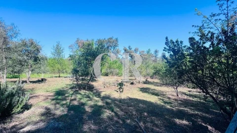 Moradia T1 para Venda em Vila Facaia