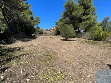 Terreno para Venda em Alcabideche