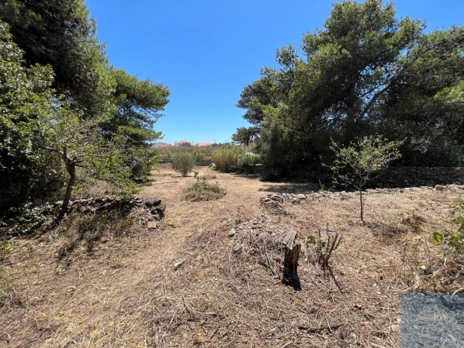 Terreno para Venda em Alcabideche Foto 10