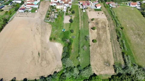 Terreno para Venda em Santa Clara e Castelo Viegas